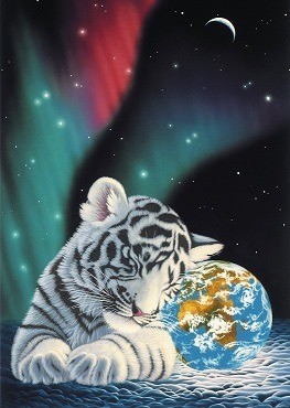 Puzzelwereld-Legpuzzel-Grafika-Earth Light-1000 stukjes-F00401 p