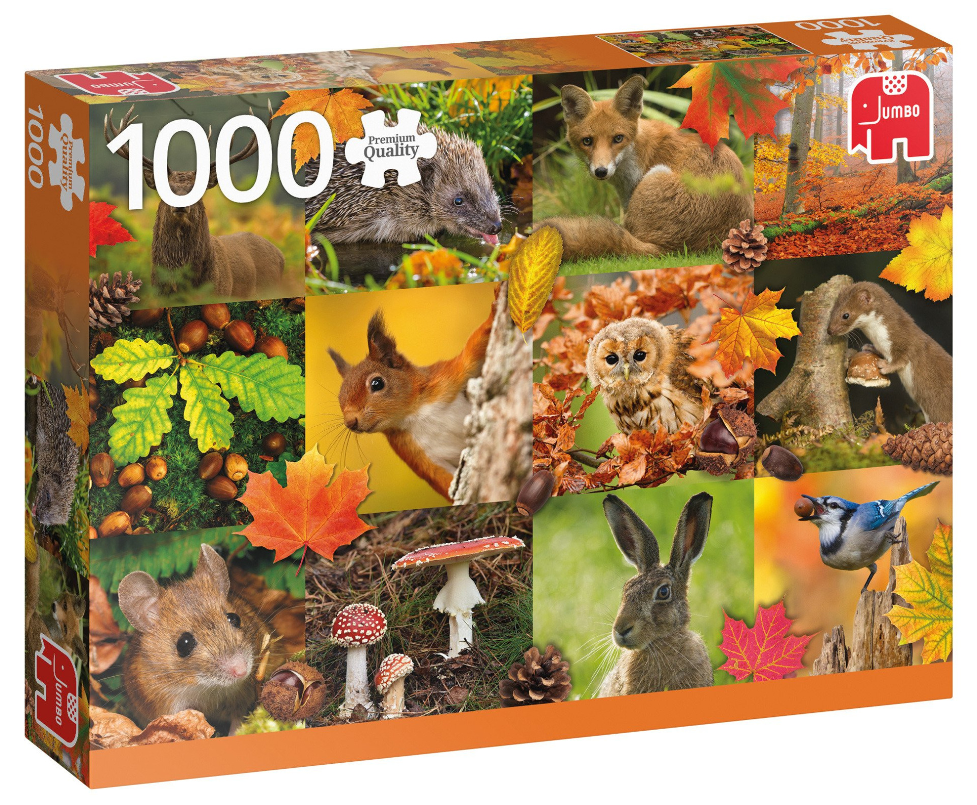 spreiding pantoffel Gymnastiek Jumbo - Legpuzzel - Dieren in de Herfst - 1000 stukjes - Legpuzzels 751-1000  stukjes - Puzzelwereld.eu